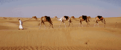 640?wx_fmt=gif